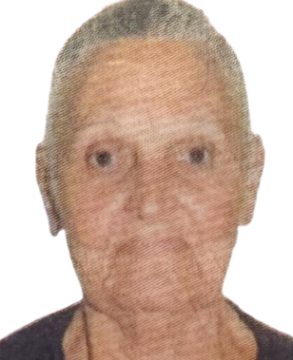 Ivone Clotilde Brandino