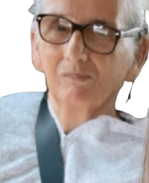 Lourdes Maria de Jesus Fabre de Padua
