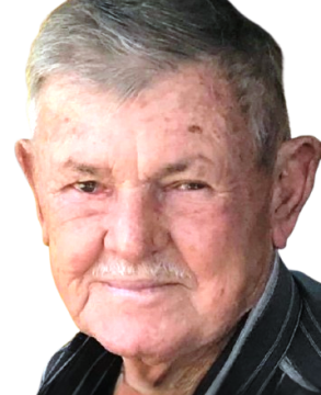 Luiz Bisão
