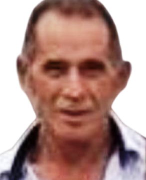 Pedro José Gomes