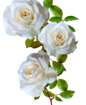 Jair da Silva Missaci